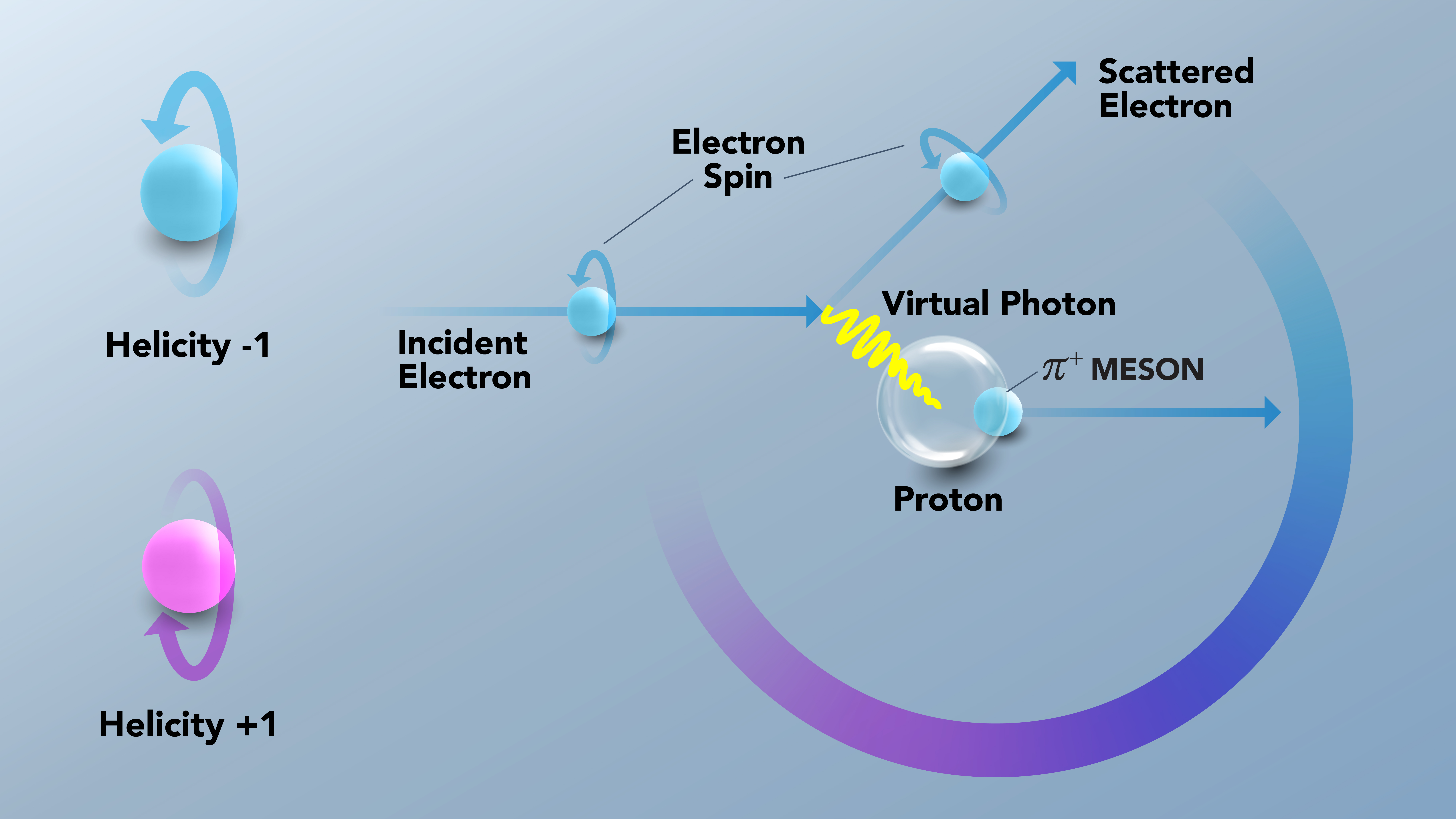 This illustration shows a spinning electron, represented as a light blue sphere traveling in the direction of an arrow line, interacting with a proton, represented as a clear sphere. The interaction is carried by a virtual photon, represented as a yellow squiggly line. The reaction produces a pi meson, represented as a sphere, and a color bar fading from magenta to cyan represents the distribution of scattered electrons based on their helicity.